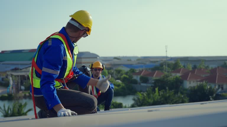 Sheet Metal Roofing in Harmony Grove, CA